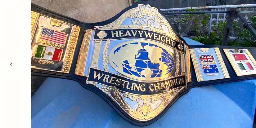 Screenshot 2025- Hogan 86 title belt-1