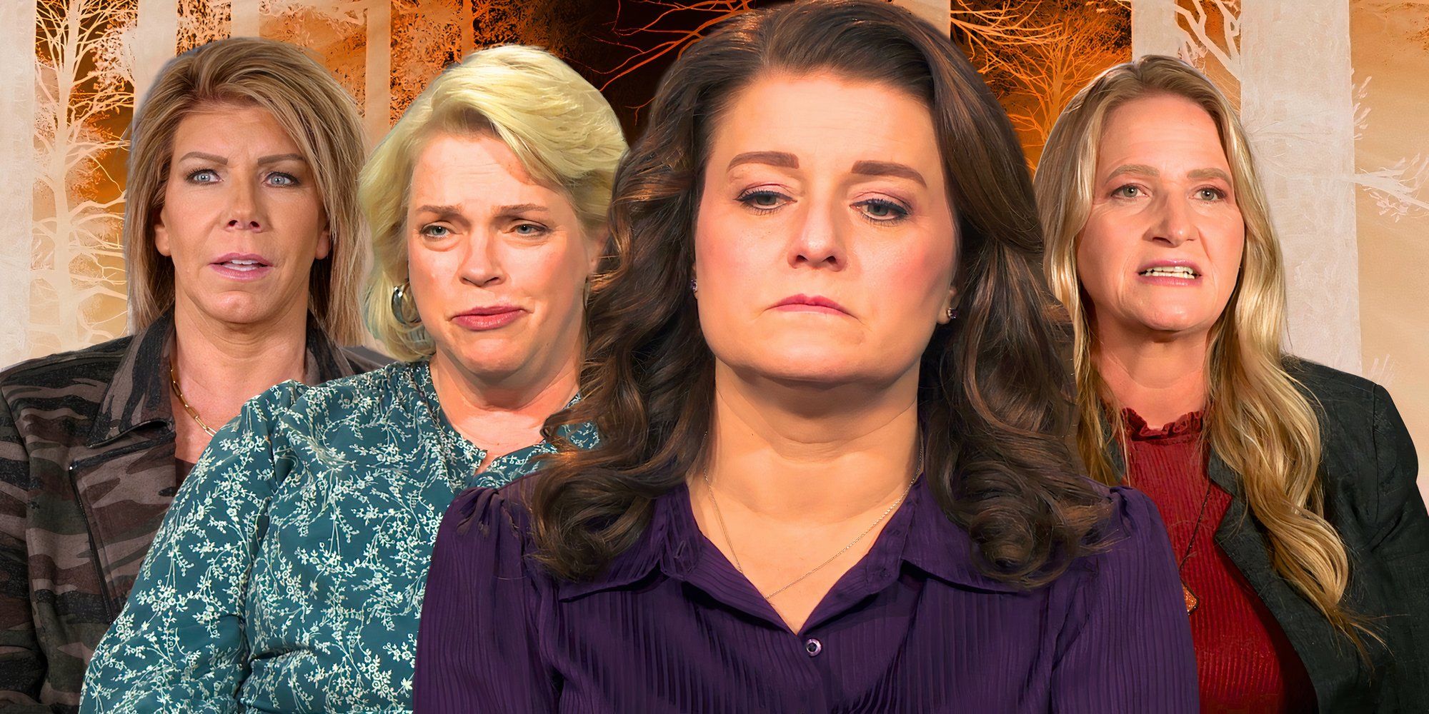 Sister Wives Robyn frowning Meri Janelle Christine Brown smiling in the background