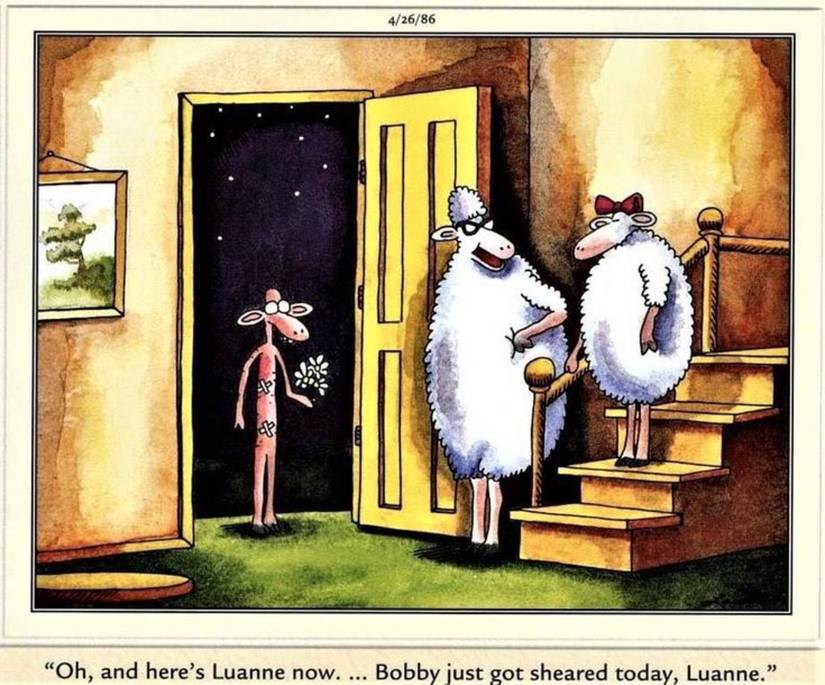 The Far Side, a sheep shows up for a date but he's been sheared and is naked