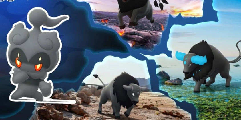Stunning Styles Pokemon GO