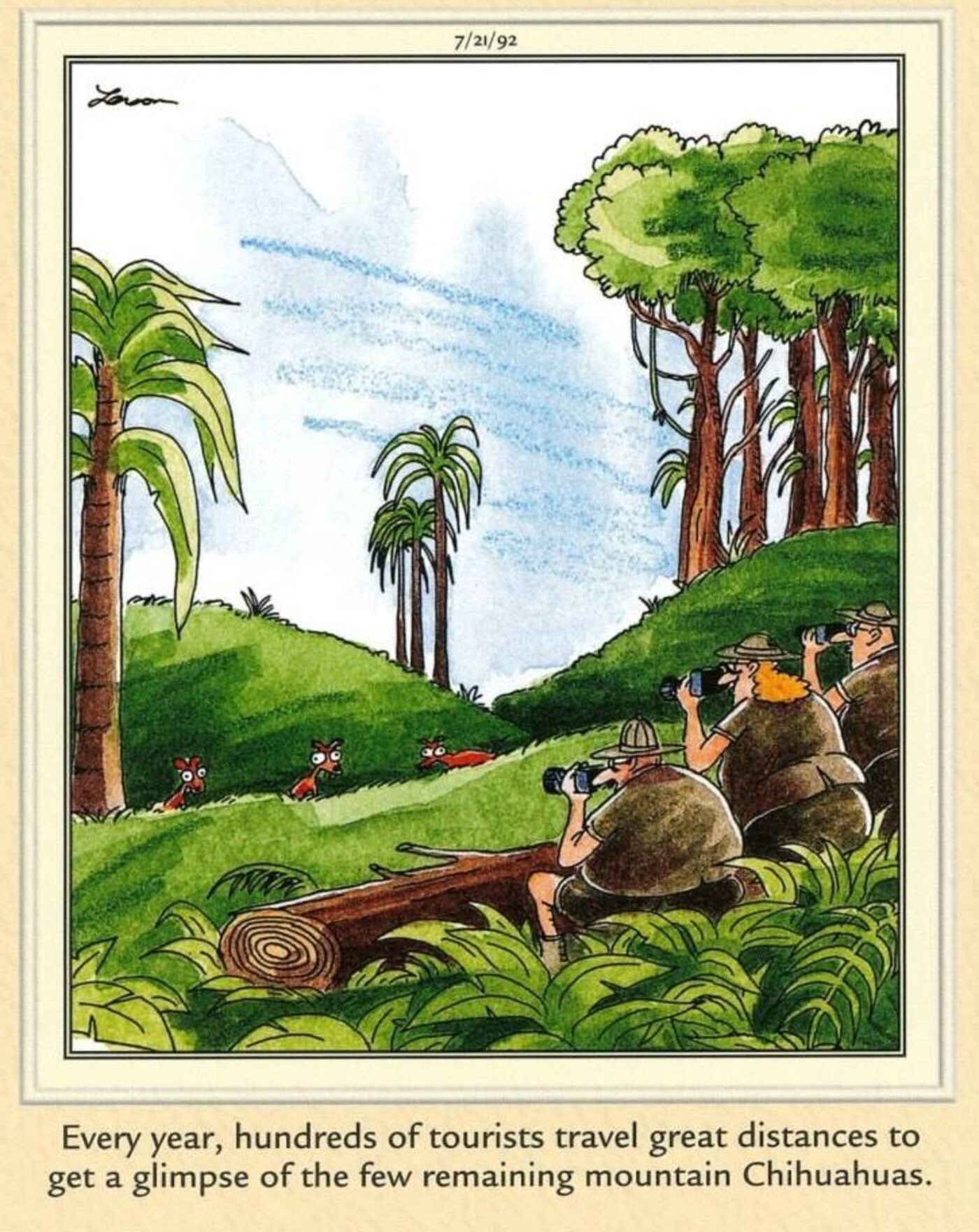 Far Side, chihuahuas in the jungle with two people watching.