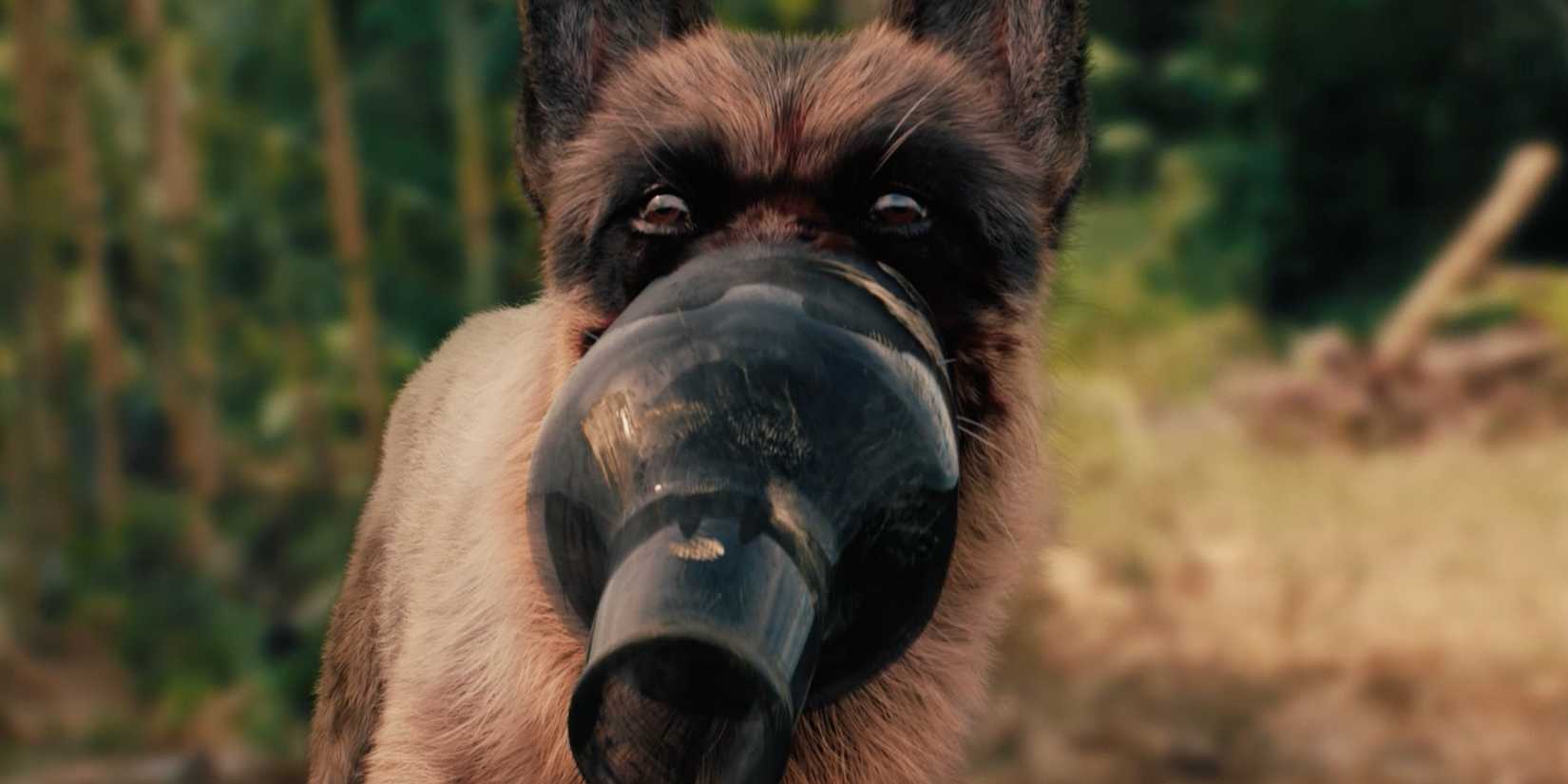 A Breed Apart dog with wine bottle on its muzzle 