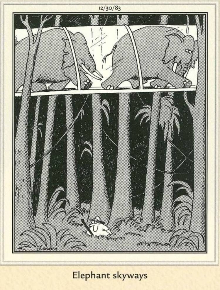 Far Side, An elephant walkway above the jungle floor.