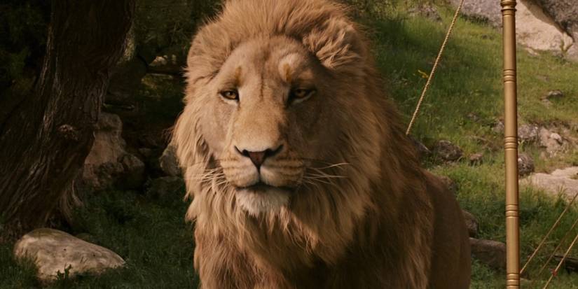 Aslan looking regal in The Chronicles of Narnia
