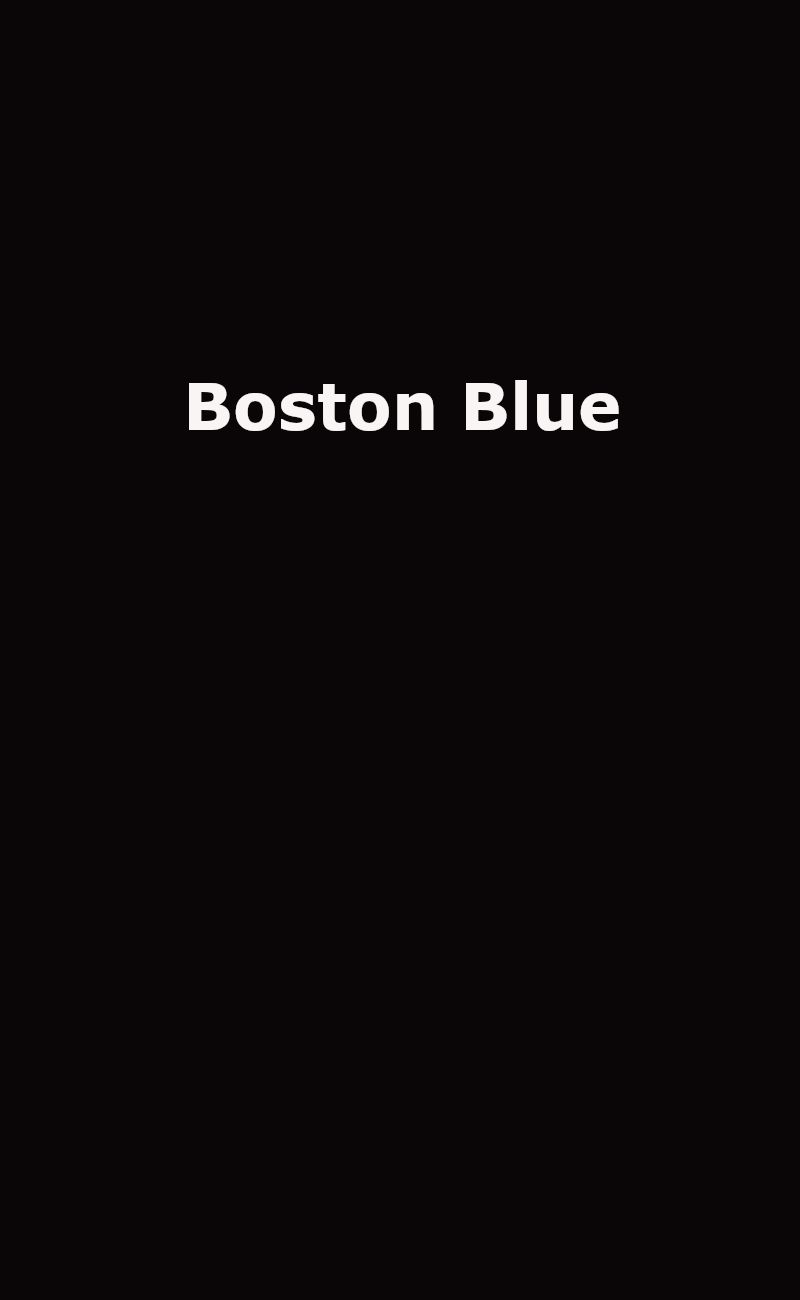 Boston Blue Upcoming TV Show Logo Placeholder