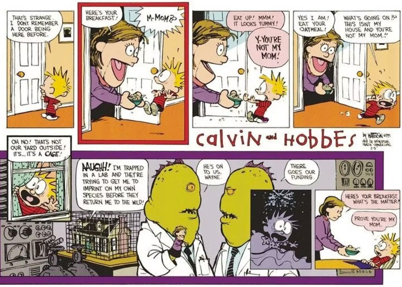 Calvin&rsquo;s mom is a sock puppet while he&rsquo;s experimented on