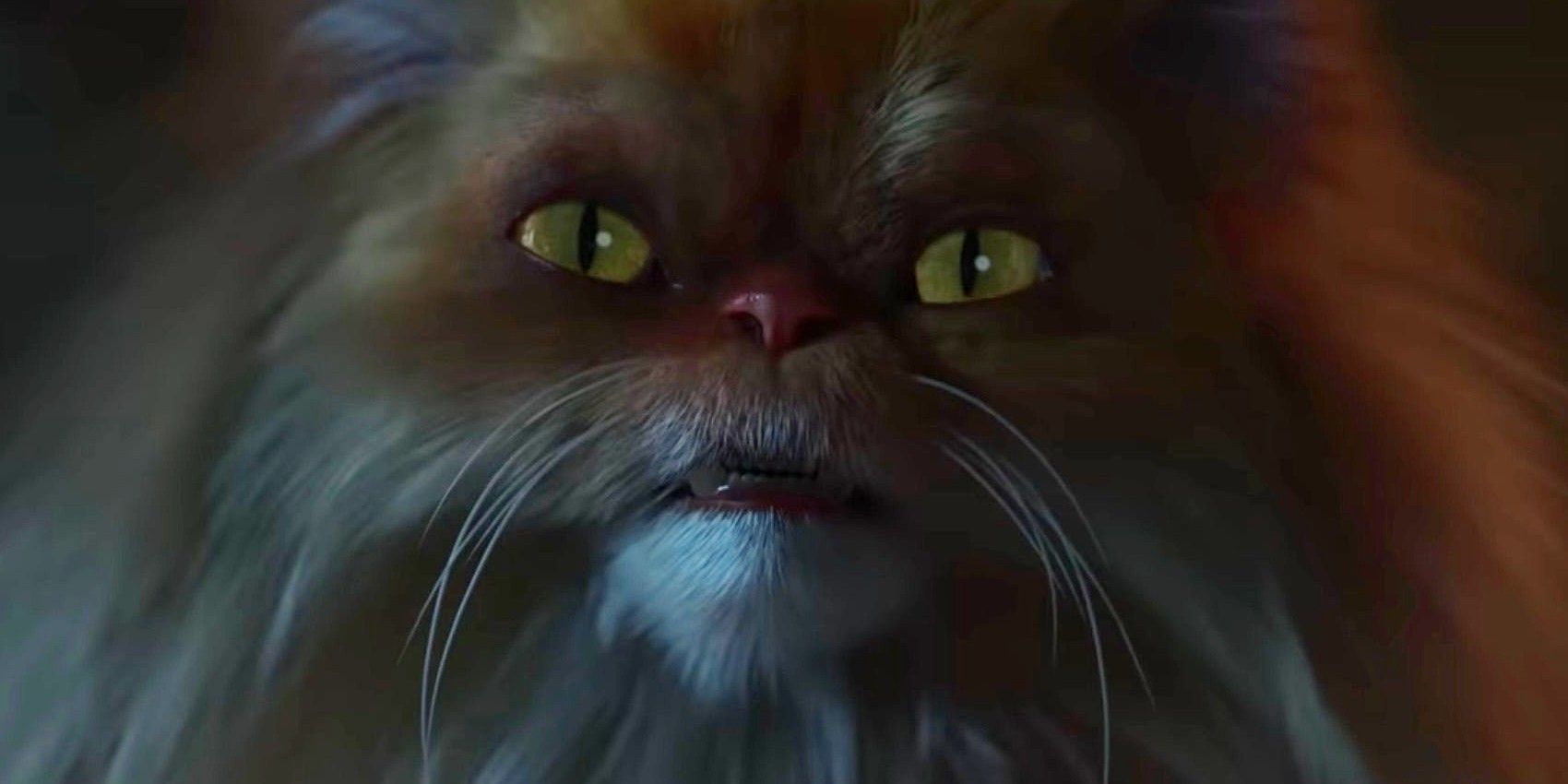 Cat looking into the camera in Love Death and Robots vol 4