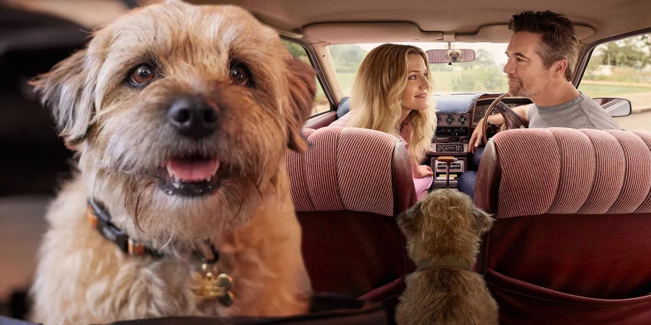 A composite image of Colin panting happily in front of Ashley and Gordon in the car from Colin from Accounts.