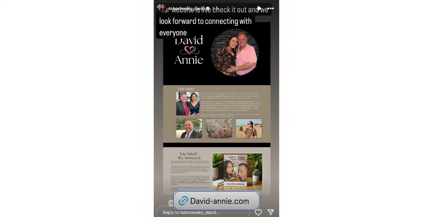 David Toborowsky in 90 Day Fiance on Instagram Story about his website