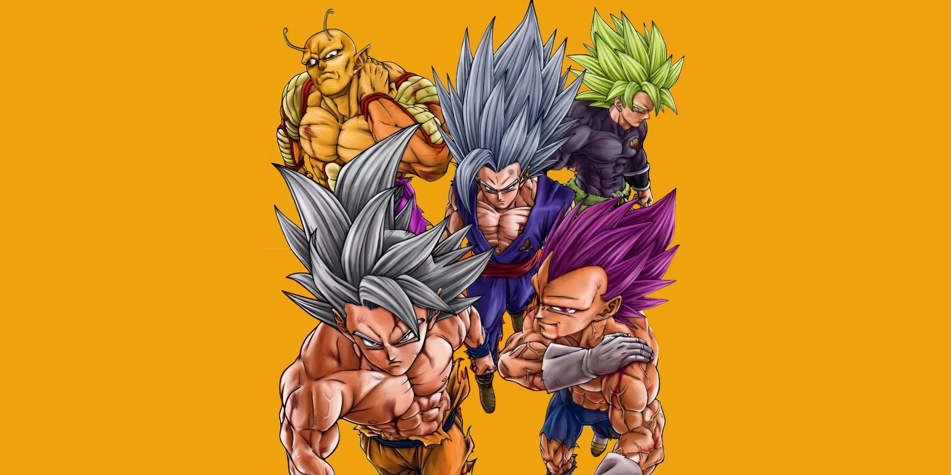 Goku, Vegeta, Gohan, Piccolo, and Broly from the cover of Dragon Ball Super volume #24.