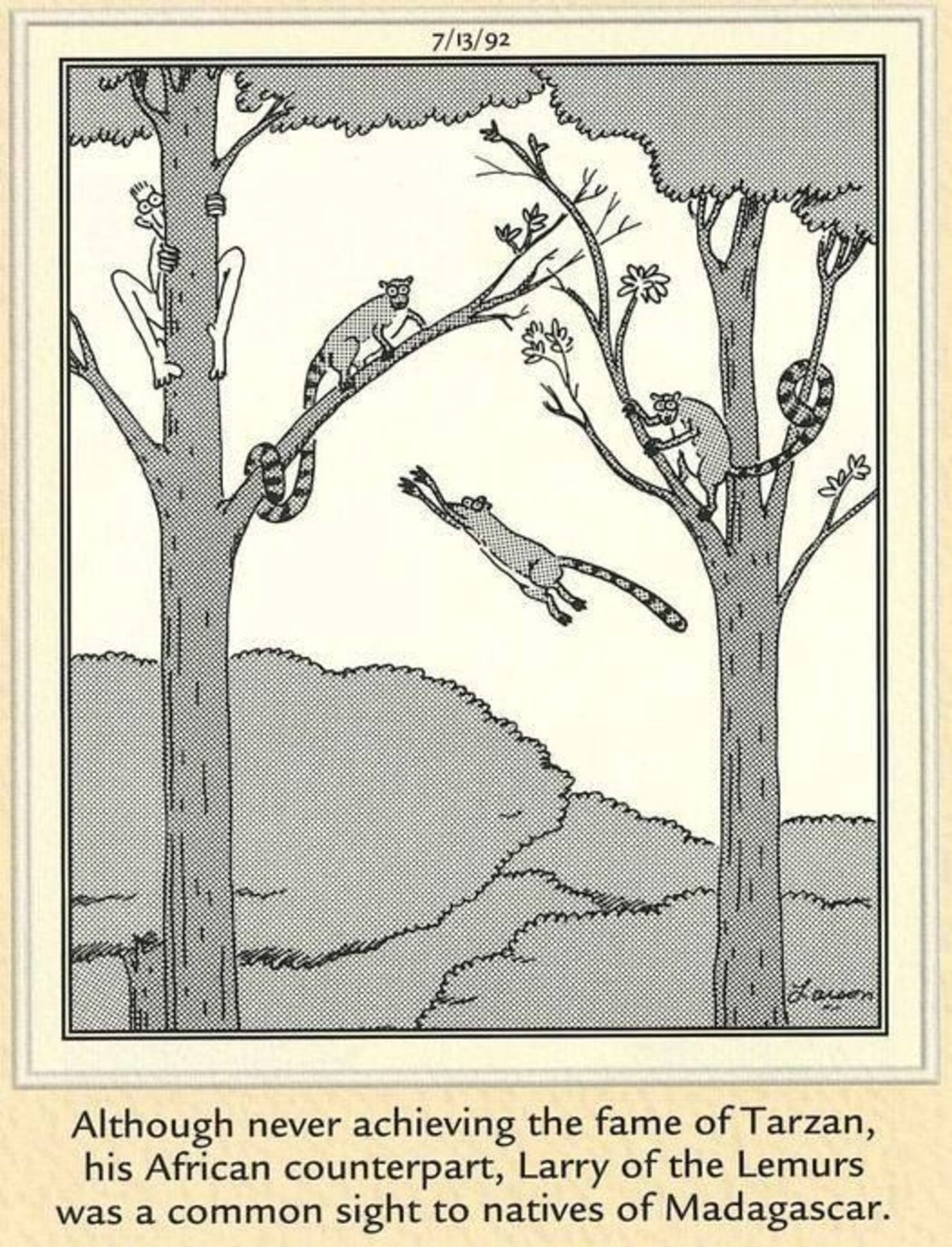 Far Side, a man acting like a lemur with other lemurs in a tree.