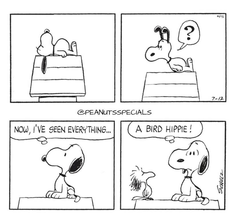 Snoopy with Woodstock with long hair.