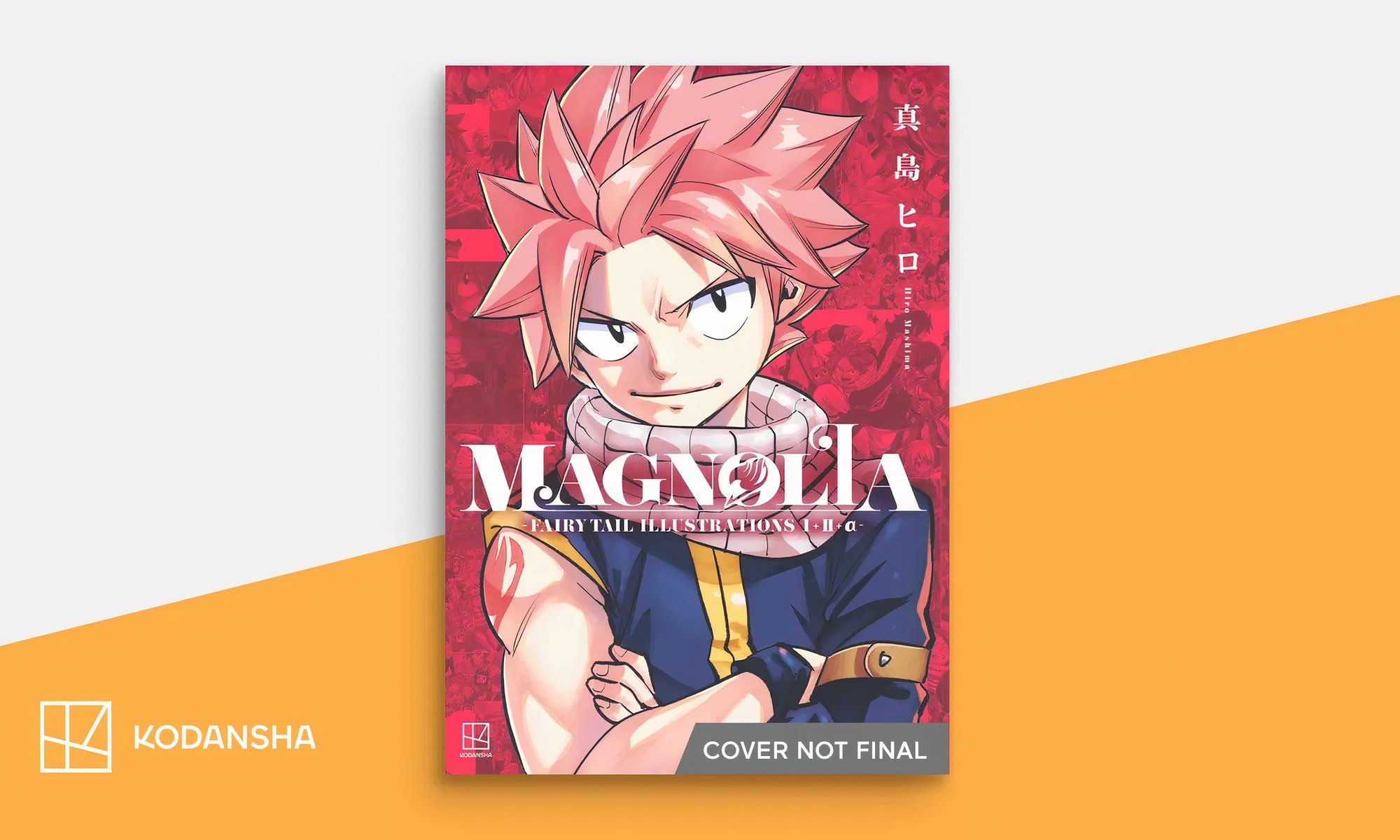 Magnolia: FAIRY TAIL Hiro Mashima