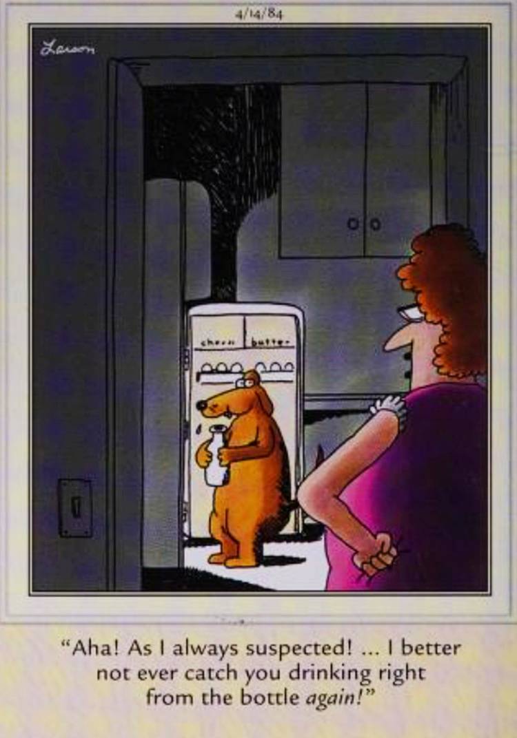 Far Side, April 14, 1984, a woman catches her dog raiding the fridge