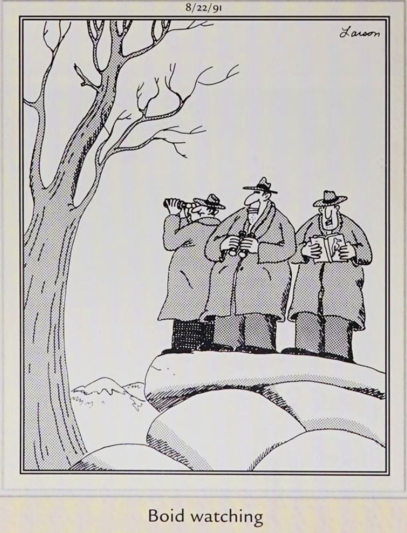 Far Side, August 22, 1991, mafiosos out &lsquo;boid watching&rsquo;