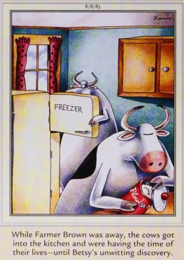 Far Side, August 8, 1983, cows raid the farmer's fridge while he's gone