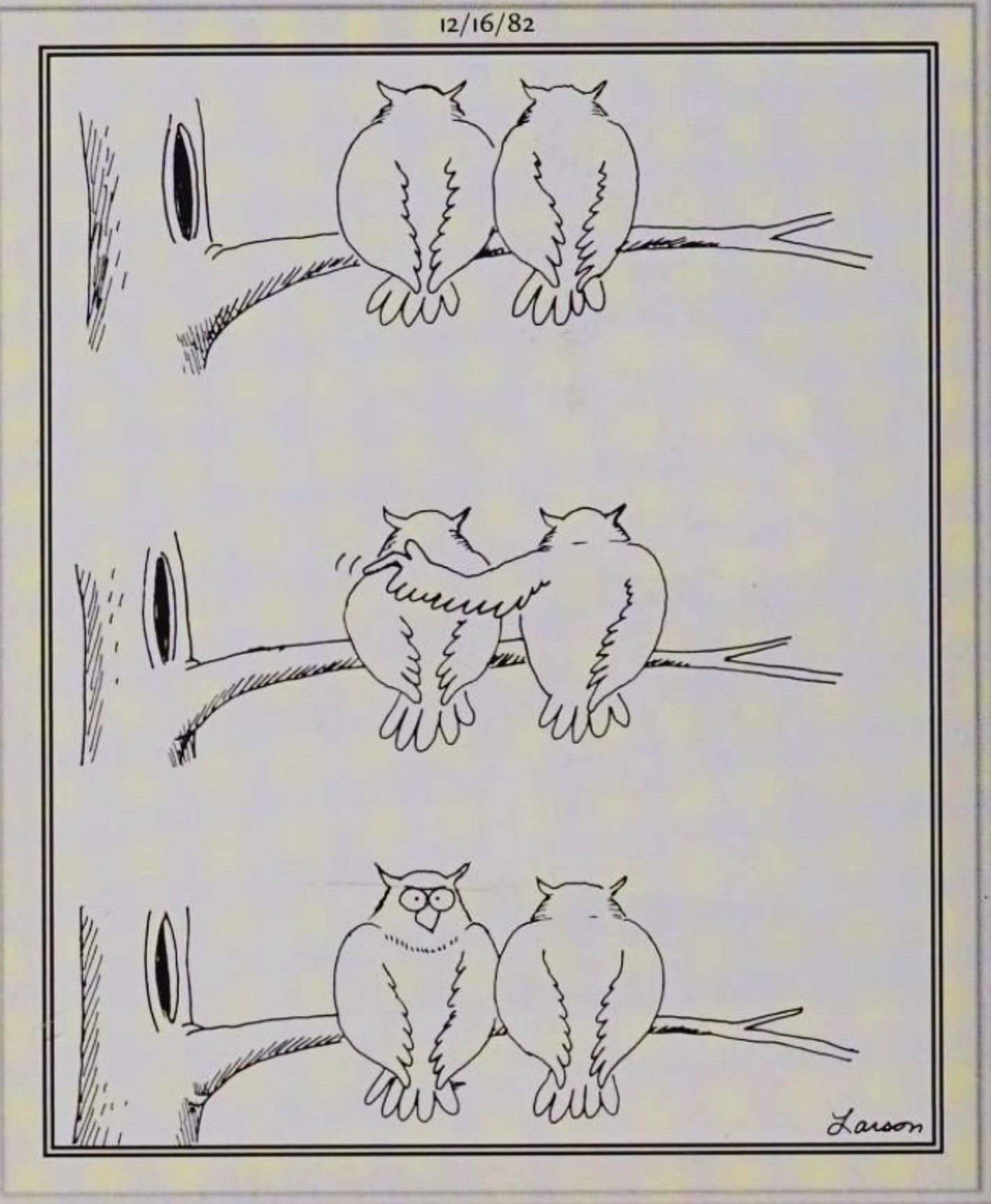 Far Side, December 16, 1982, one owl pranks another by tapping it on thw shoulder