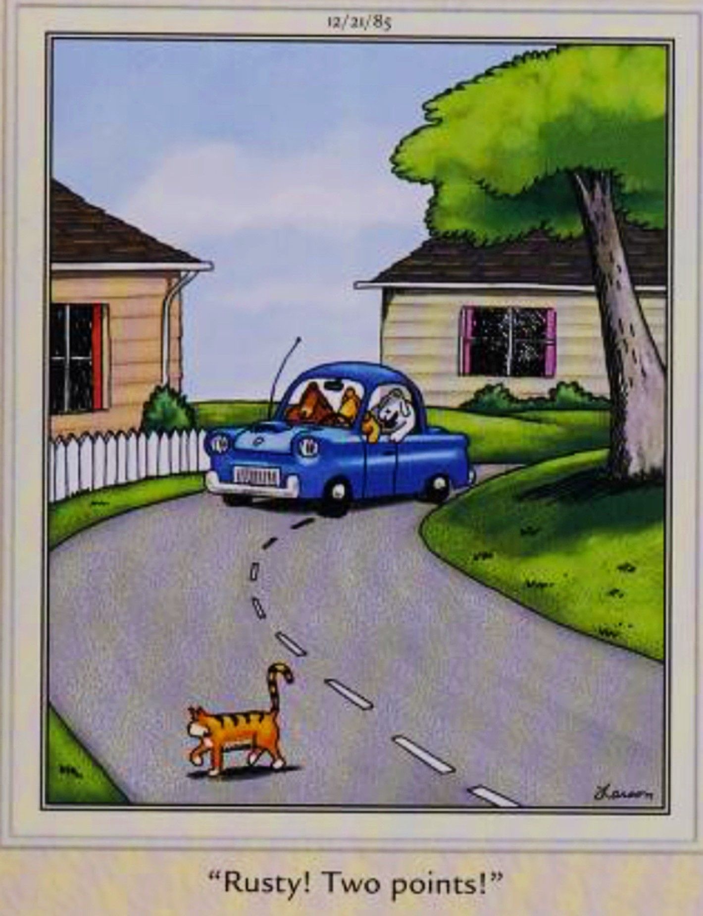 Far Side, December 21, 1985, dogs driving around intentionally hitting cats