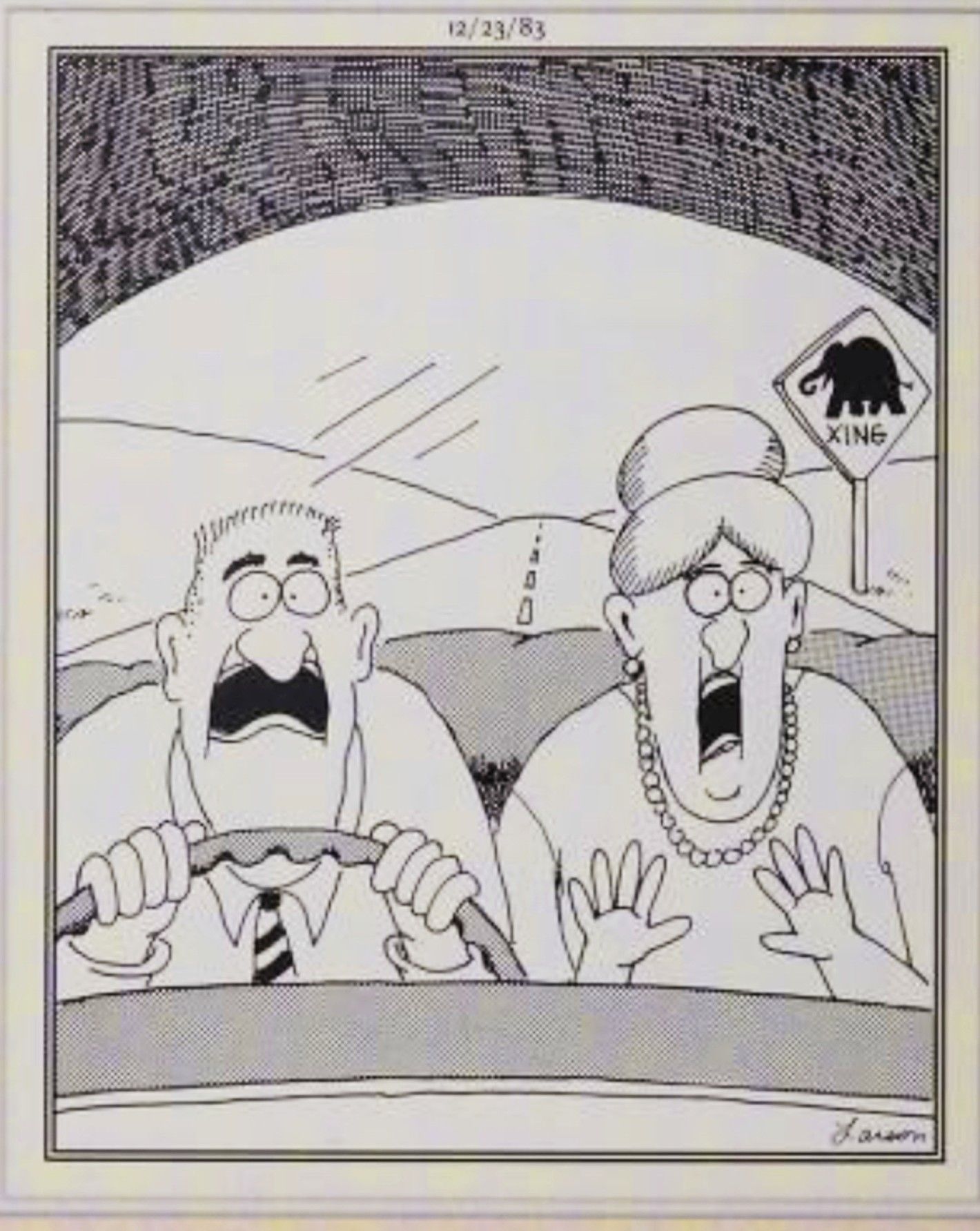 Far Side, December 23, 1983, a couple collide their car with an elephant