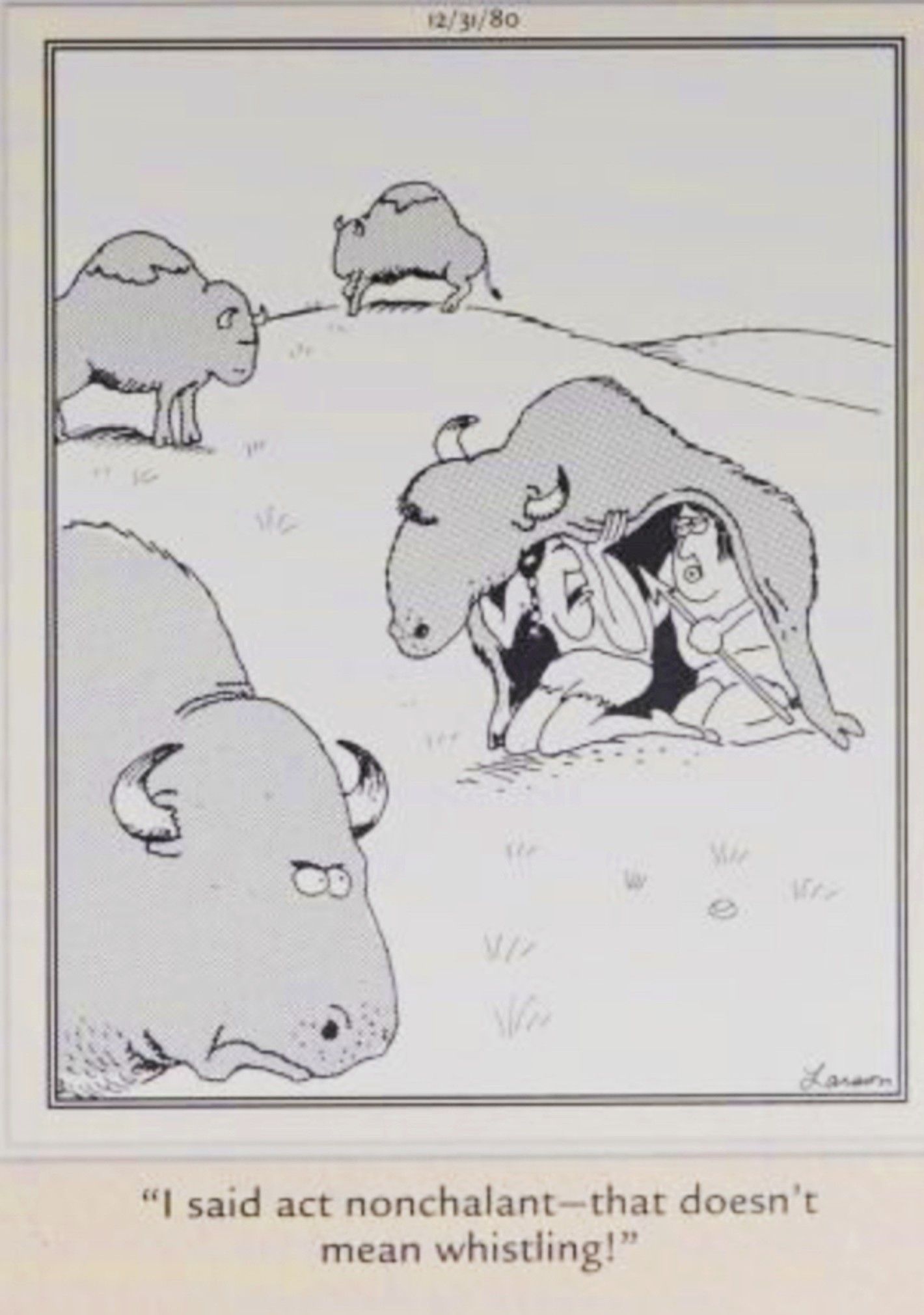 Far Side, December 31, 1980, indigenous hunters hide under a buffalo skin