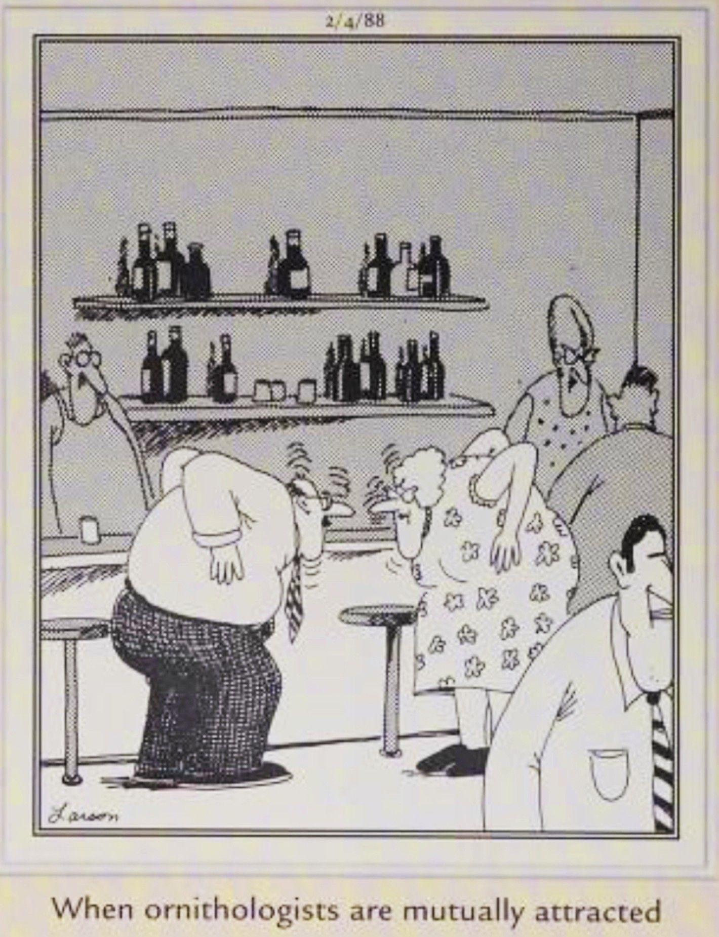 Far Side, February 4, 1988, captioned &lsquo;when ornithologists are mutally attracted