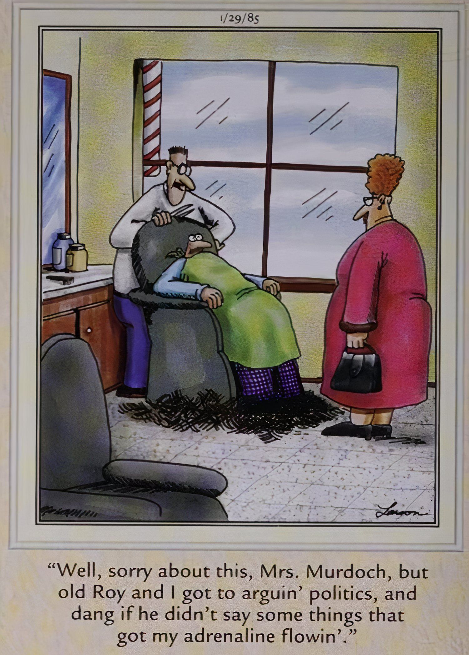Far Side Haircut
