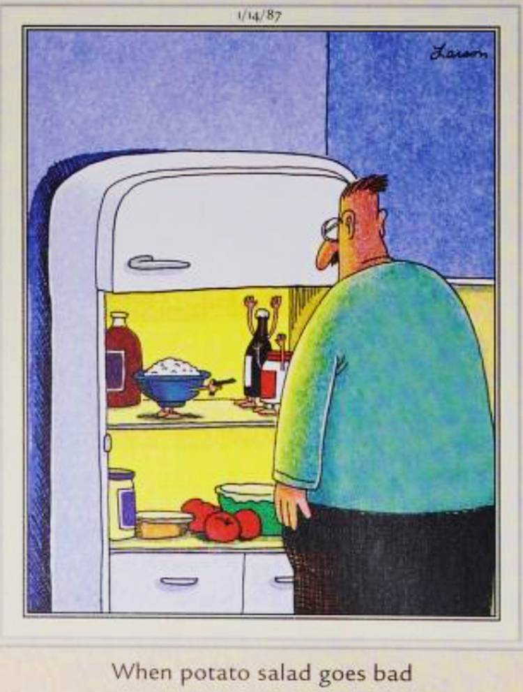 Far Side, January 14, 1987, captioned 'when potato salad goes bad'