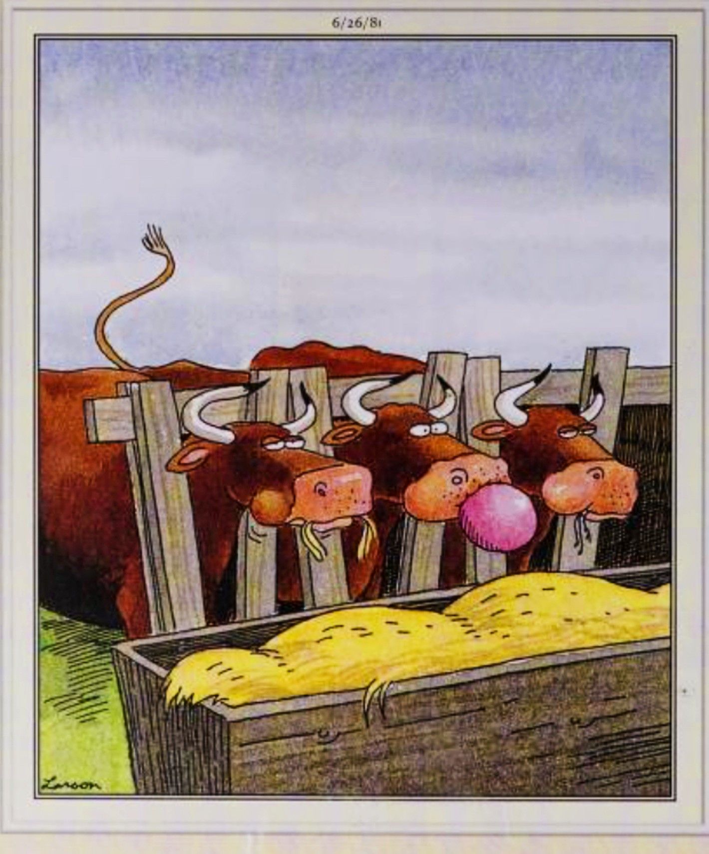 Far Side, June 26, 1981, a cow blowing a bubble with bubble gum