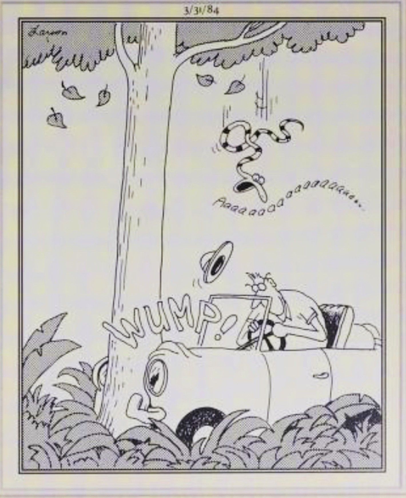 Far Side, March 31, 1984, a man crashes his car into a tree, causing a snake to fall on his head