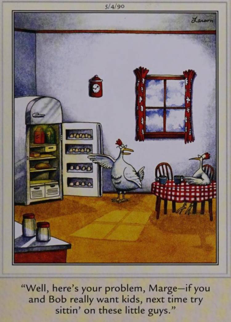 Far Side, May 4, 1990, a chicken tells her friend to sit on her eggs instead of refrigerating them
