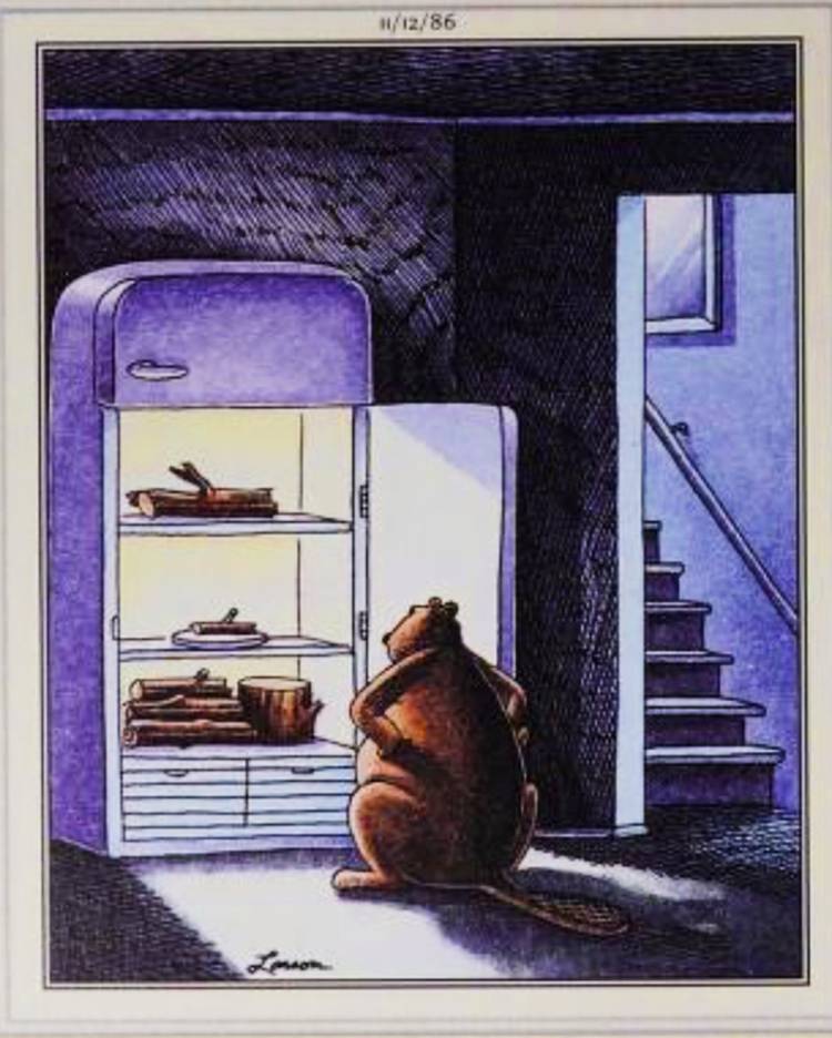 Far Side, November 12, 1986, a beaver has nothing but wood in its fridge