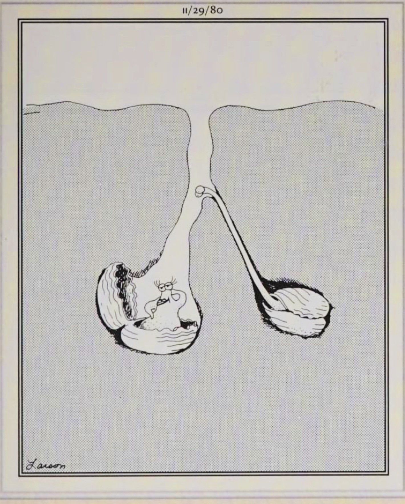Far Side, November 29, 1980, a mollusk peers around a sharp corner to look at a clam&rsquo;s insides
