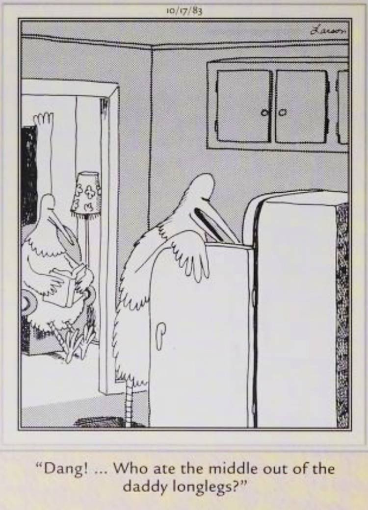 Far Side, October 17, 1983, a bird looking in the fridge for a snack