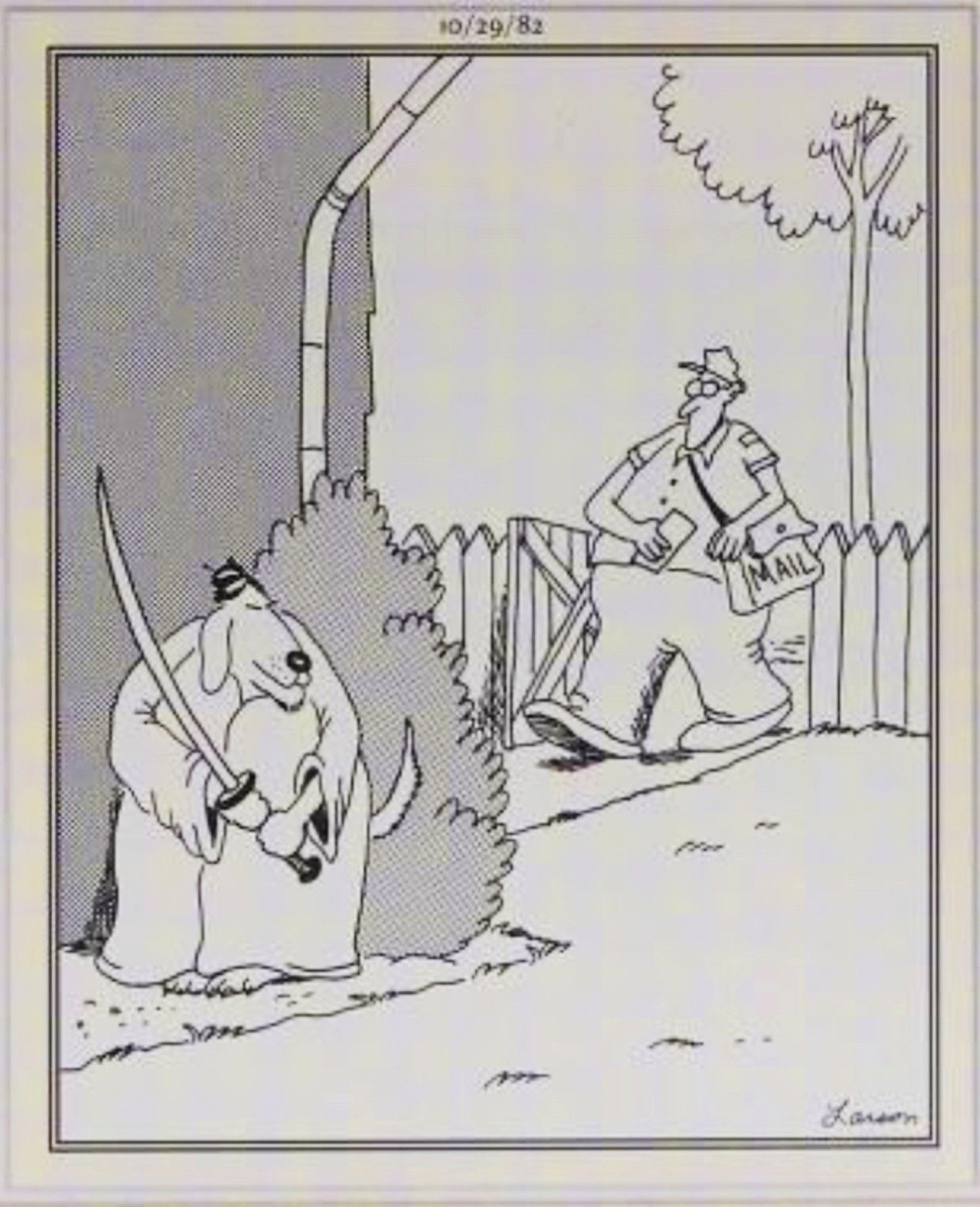 Far Side, October 29, 1982, a dog with a samurai sword waits to ambush a mailman