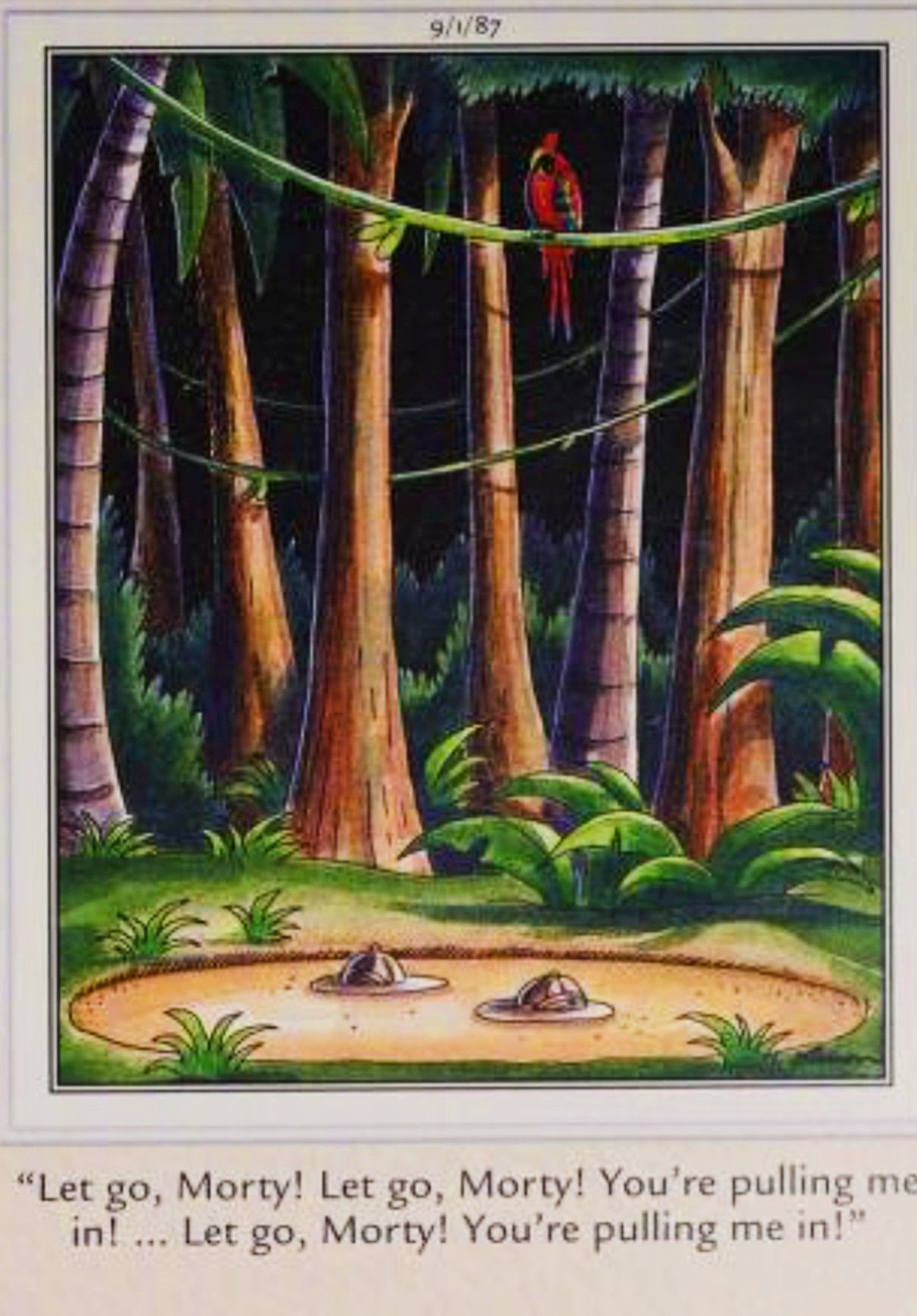 Far Side, 1 de septiembre de 1987, su compañero tira a un explorador a las arenas movedizas.