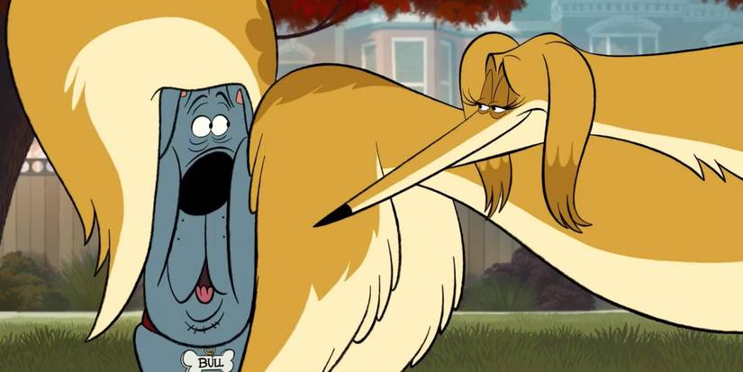 A dog's face getting smooshed in Fixed