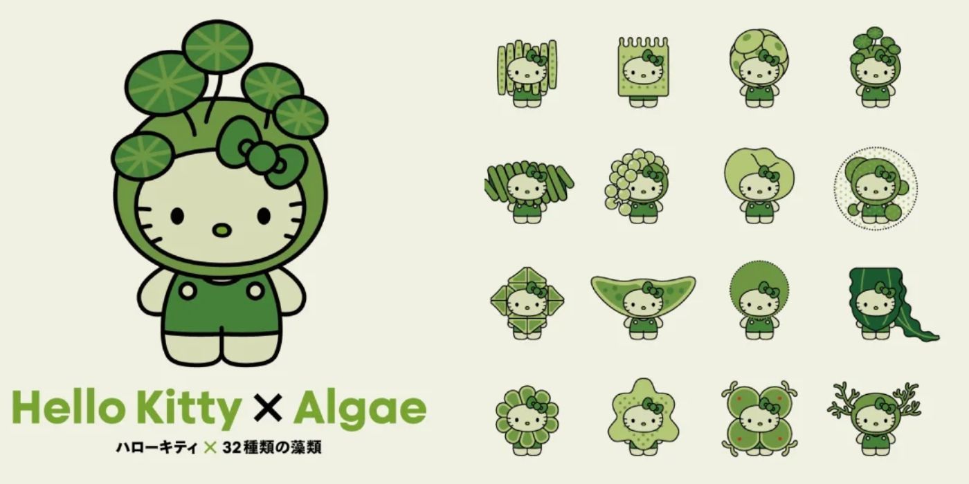 Hello Kitty x Algae Collaboration Poster