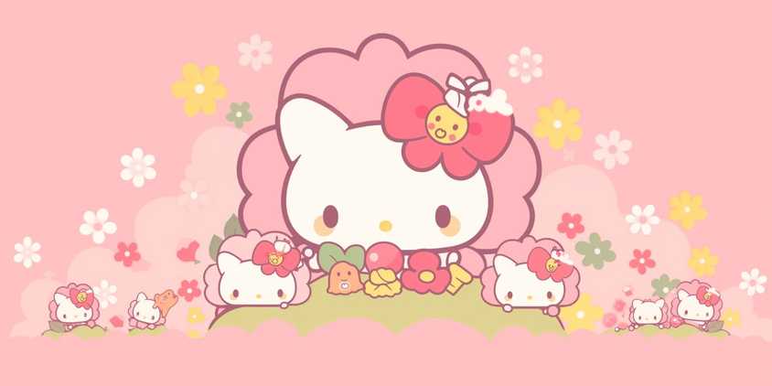 Helly Kitty Sanrio floral feature image