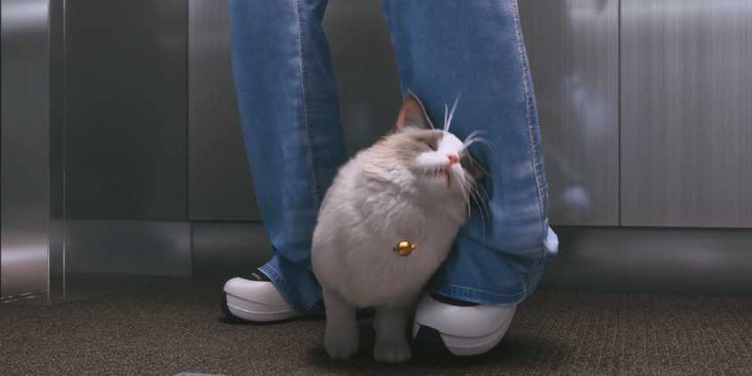 InZOI Cat Ruler