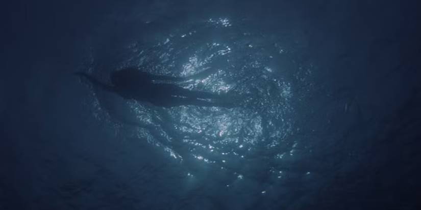 A swimmer seen from below in Jaws