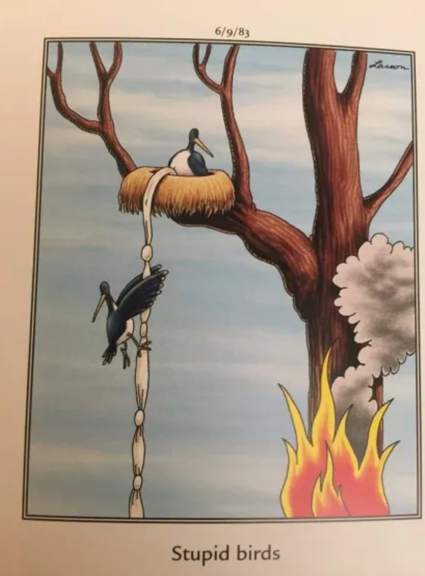 June 9 1983 stupid birds the far side comics