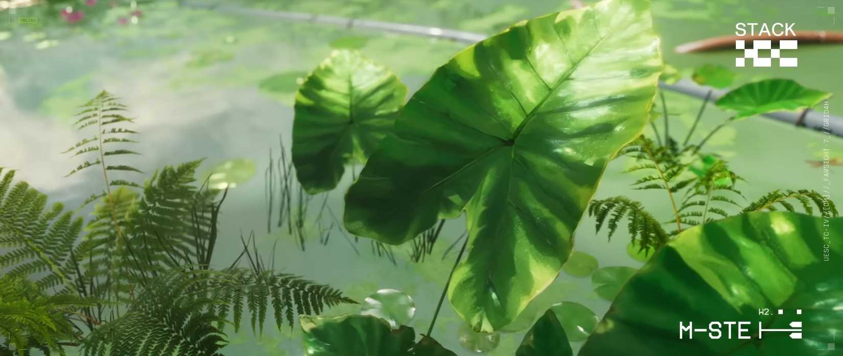 Lush green leaves in water from the marathon gameplay trailer