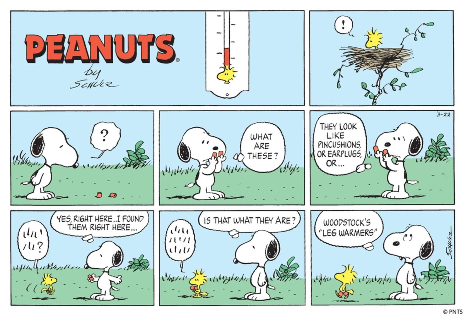 Snoopy talking to Woodstock about his legwarmers.