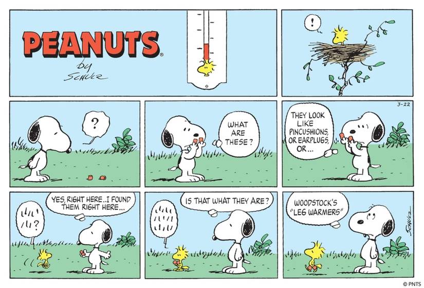 Snoopy talking to Woodstock about his legwarmers.