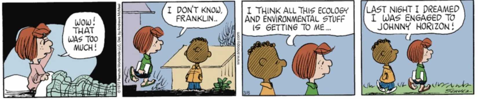 Peppermint Patty talking to Franklin about Johnny Horizon.