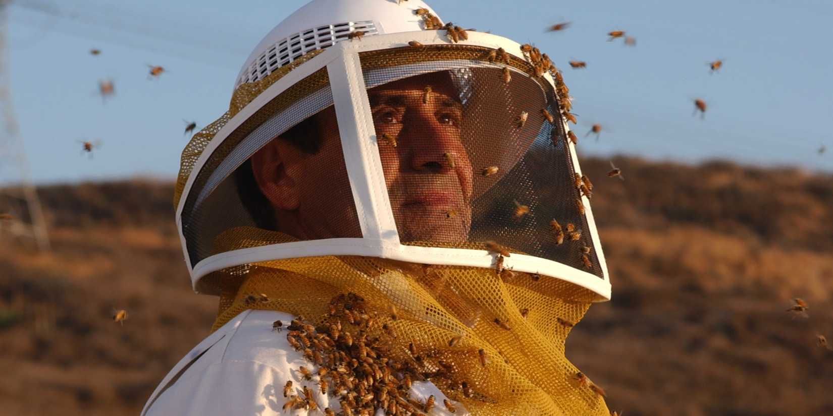 Adrian Monk (Tony Shalhoub) wearing a bee suit in in "Mr. Monk Bumps His Head"