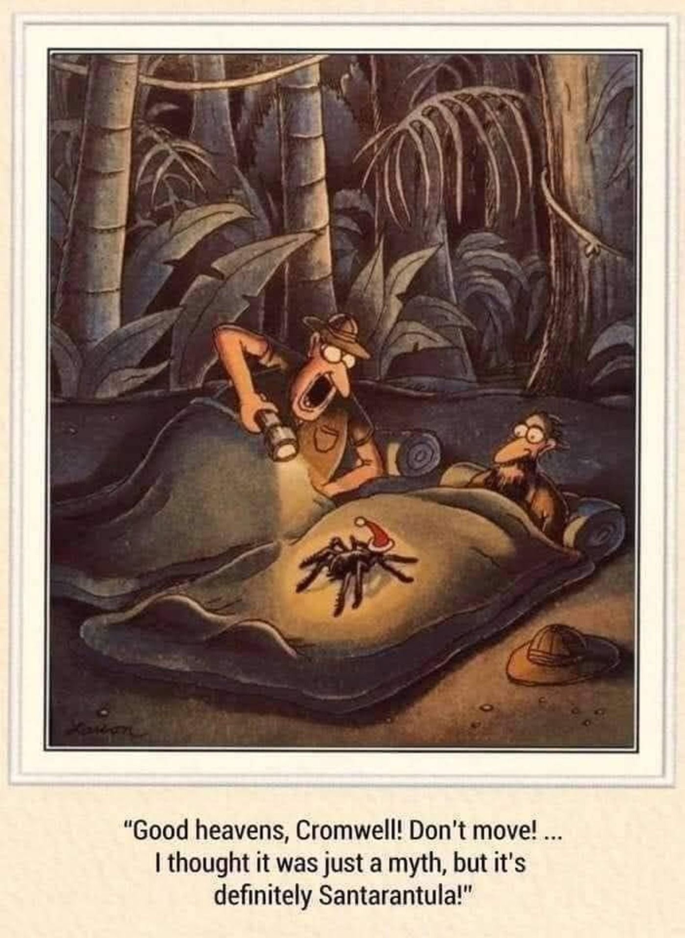 Far Side, a tarantula with a santa hat on a man&rsquo;s sleeping bag in the jungle.