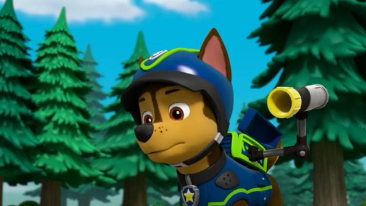 What are the Breeds of the Paw Patrol Dogs: Ultimate Guide Revealed