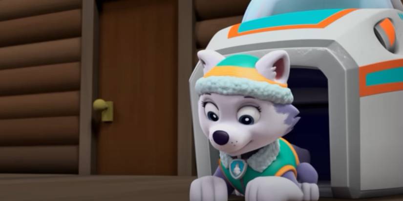 Paw Patrol Everest in house looking down