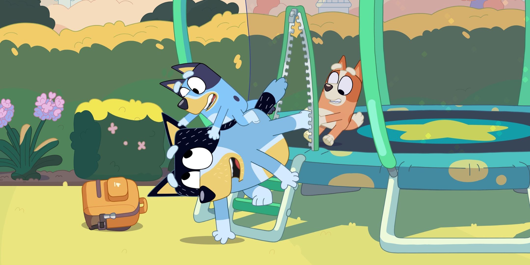 Bluey and Bingo trying to get Bandit to stay in Bluey episode Trampoline